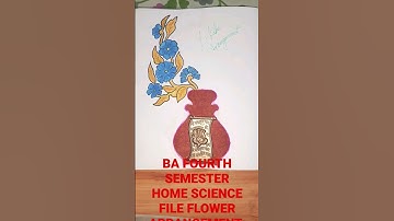 #shorts BA HOME SCIENCE 4TH SEMESTER FILE 2023