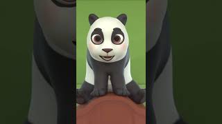 Hickory Dickory Dock with Jungle Animals | Newborn Educational Nursery Rhymes & Kids Songs