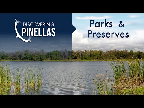 Pinellas County So The Emerald Coast Of Florida Where Natures Canvas Unfolds