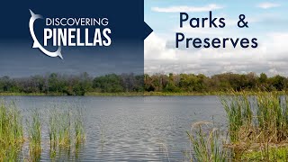 Discovering Pinellas: Parks and Preserves