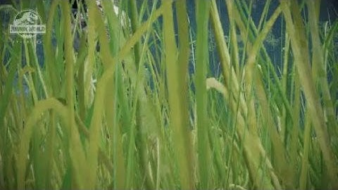 Jurassic World Evolution - Testing Capture Mode