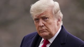 Trump pardons ex-strategist Steve Bannon, dozens of others