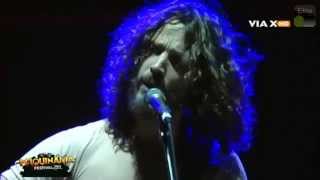 Chris Cornell - Hunger Strike (Live in Chile 2011)