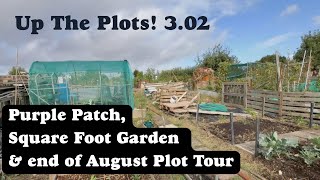 3.02 Purple Patch, Square Foot Garden and an end of August Plot Tour