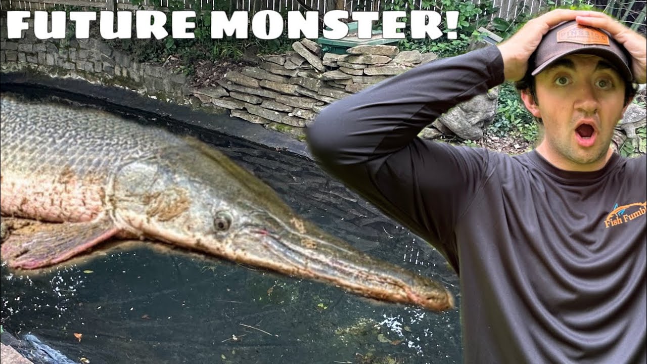 I Found A Prehistoric Fish For Abandoned Pond! - YouTube