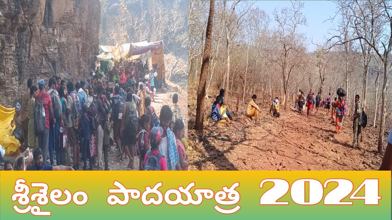 Srisailam padayatra 2024 | Venkatapuram  to Srisailam 