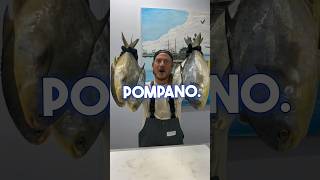 Fish Talk Friday! Subject: Pompano 🐟 If you know something that I didn’t say, comment below! 👇