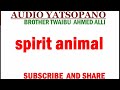 TWAIBU AHMED ALLI SIPILITI ANIMO 