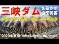 【2020中国大水害】①三峡ダムと決壊シミュレーション Three Gorges Dam Collapse Simulation CHINA