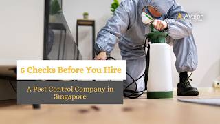 5 Checks Before You Hire a Pest Control Company in Singapore