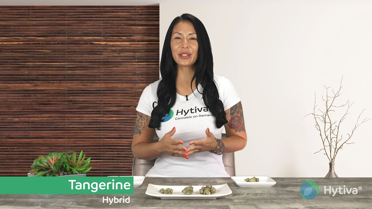 Tangerine Strain Review