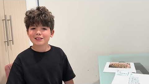 Luna’s Fibonacci Spirals: a mathematical investigation 