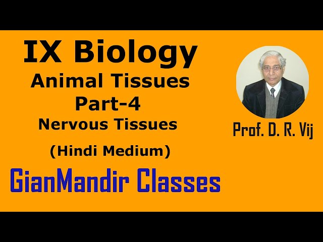 IX Biology | Animal Tissues Part-4 | Nervous Tissues (Hindi Medium) by Ruchi Ma'am