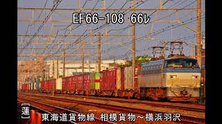 ﾊﾞﾘ晴れ!ﾊﾞﾘ順!ｴﾛ光! EF66-108 66ﾚ 東海道貨物線 相模貨物～横浜羽沢。