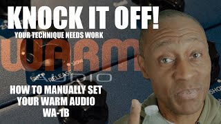 Warm Audio WA1B How To Get The BEST Gain Reduction Results EVERYTIME