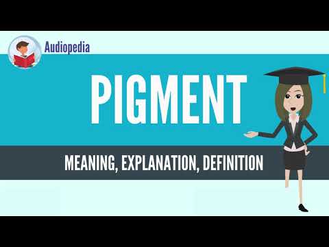 What Is PIGMENT? PIGMENT Definition & Meaning