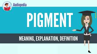 What Is PIGMENT? PIGMENT Definition & Meaning