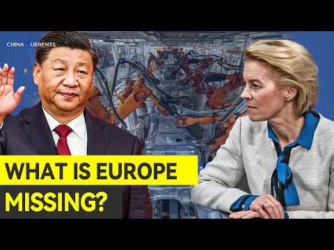 Europe Blames China’s Subsidies. But What Is It Missing?