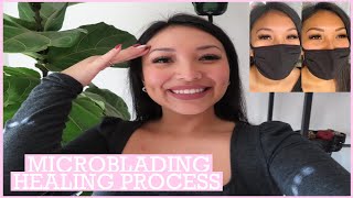 DAY BY DAY MICROBLADING HEALING PROCESS | AFTERCARE