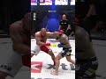 KSW TOP 20 Knockouts 👊 #7 Pudzianowski vs. Materla #ksw #mma #knockoutcity #ksw100 #top10