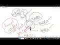 Disorders of Urinary Tract || 2nd year Fedral Board Biology