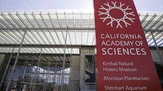 Celebrating SF's Cal Academy l A look back at how the Golden Gate Park museum came to be