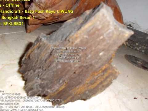 Jual Beli Batu Fosil  Kayu  LIWUNG Model Bongkah Besar 1 