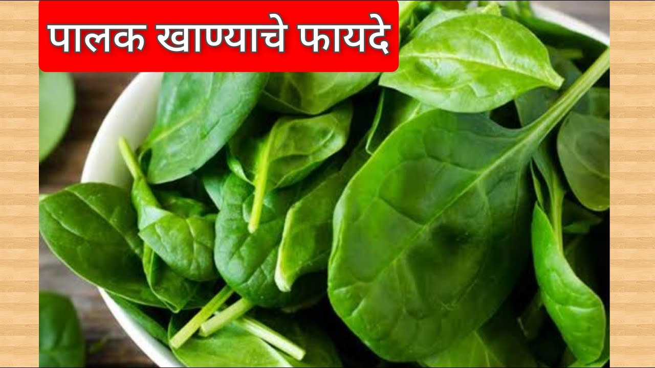 पालक भाजी खाण्याचे फायदे Benefits of spinach पालक खाने के फायदे