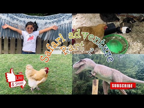 Hareem’s safari adventure part 2