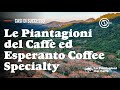 Le Piantagioni del Caffè & Esperanto Specialty Coffee