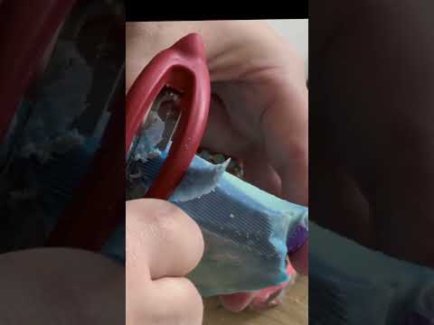 أسطورة الفهد الأسود مغامرة الدكتور كارلوس في أعماق الأمازون 