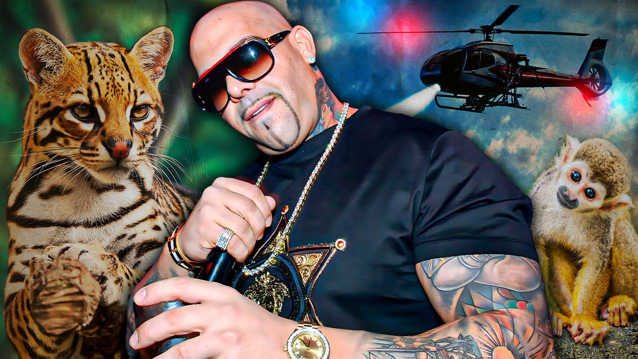 The TWISTED Rise and Fall of Mally Mall