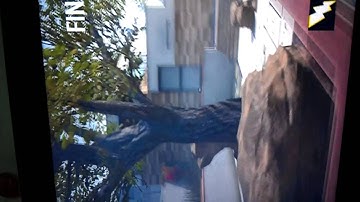 4-0 raid 1st map vs kush