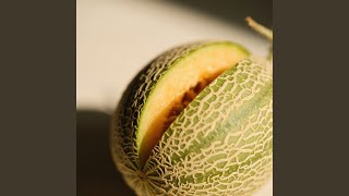 Download Lagu Hutan Jatuh Ikatan MP3