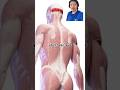 Different Layers of Fascia Explained #shorts