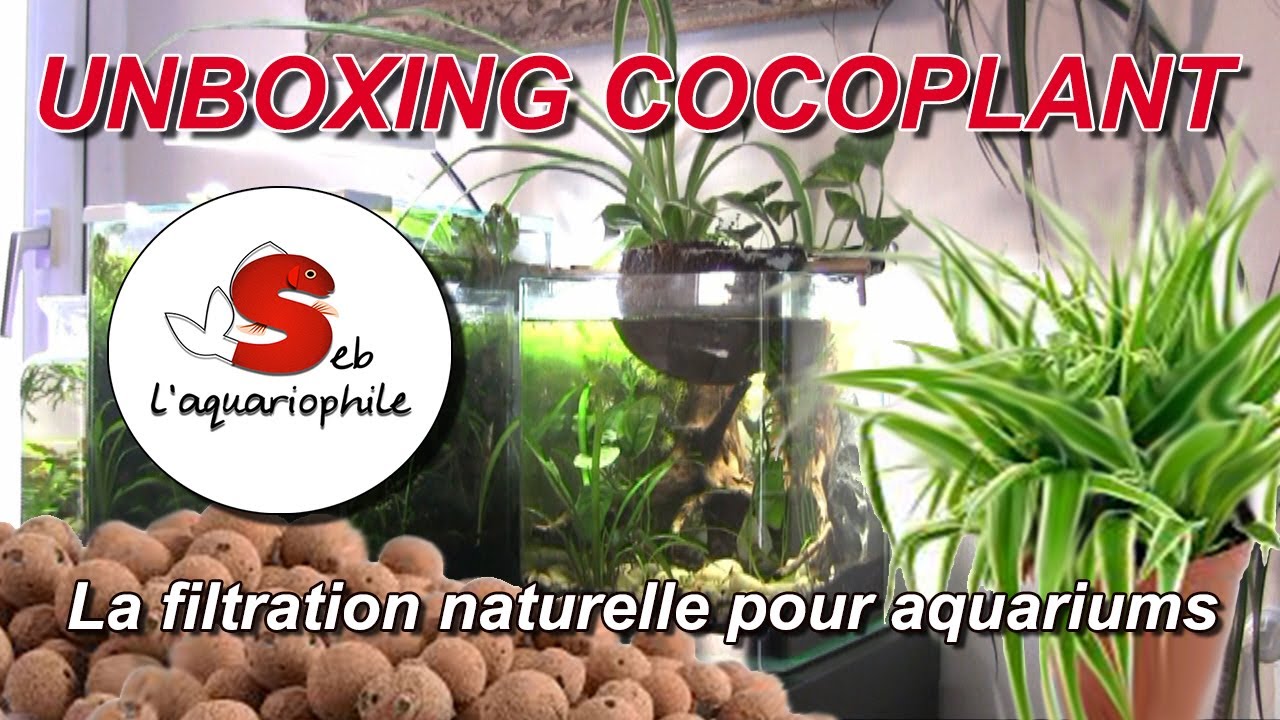 Filtre d'aquarium , la Filtration naturelle pour aquarium