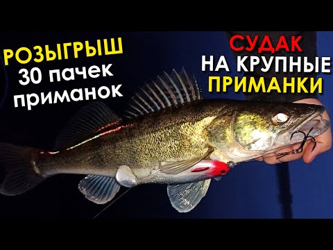 НЕВЕРОЯТНО СУДАКИ ЖРУТ