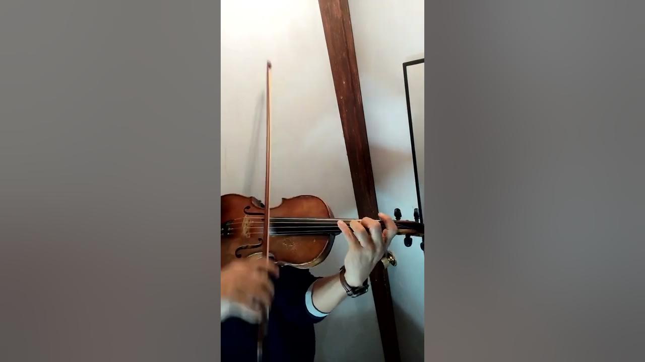si nos dejan, violín GARIBALDI YouTube