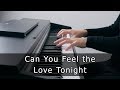 Can you feel the love tonight  the lion king piano cover by riyandi kusuma