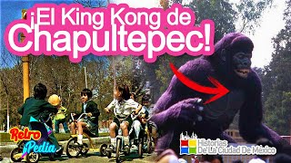 Centro De Convivencia Infantil de Chapultepec ¿Lo Recuerdas?