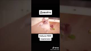 Много спала много ела🤣🤣😆😆