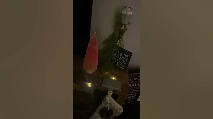 2022 CHRISTMAS DECOR @ Gwen Steffani Lane