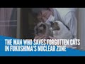 The man who saves forgotten cats in Fukushima's nuclear zone