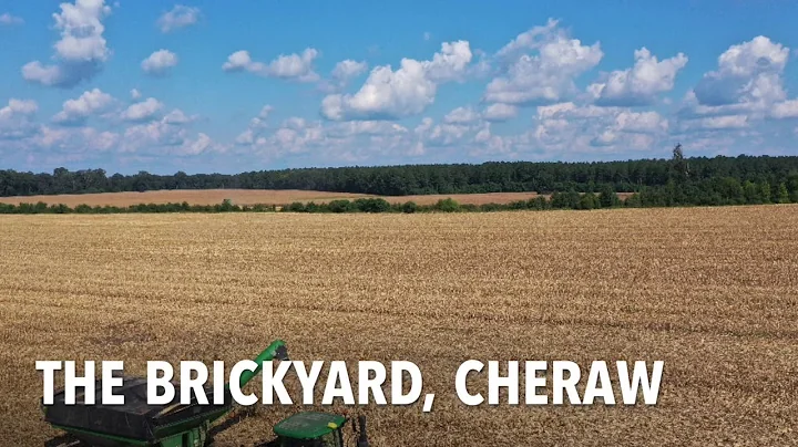 32 Row Corn Head in action! Frank Howey Family Far...