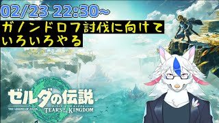 【ゼルダの伝説 ティアーズ  オブ ザ キングダム # B2】打倒ガノンドロフ。空探索・祠攻略とかやる【ケモノ系Vtuber】