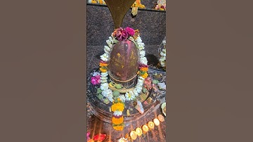 पार्थिव शिवलिंग विसर्जन विधि #panditpardeepmishra #motivation #shivpurankeupaypradeepjimishra