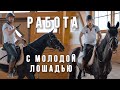 Работа с молодой лошадью (заключительная серия)