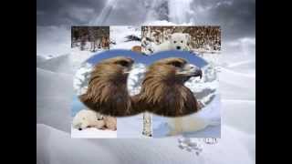 ANIMALES EN LA NIEVE