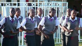 Tunakanyaga Kama Tausi