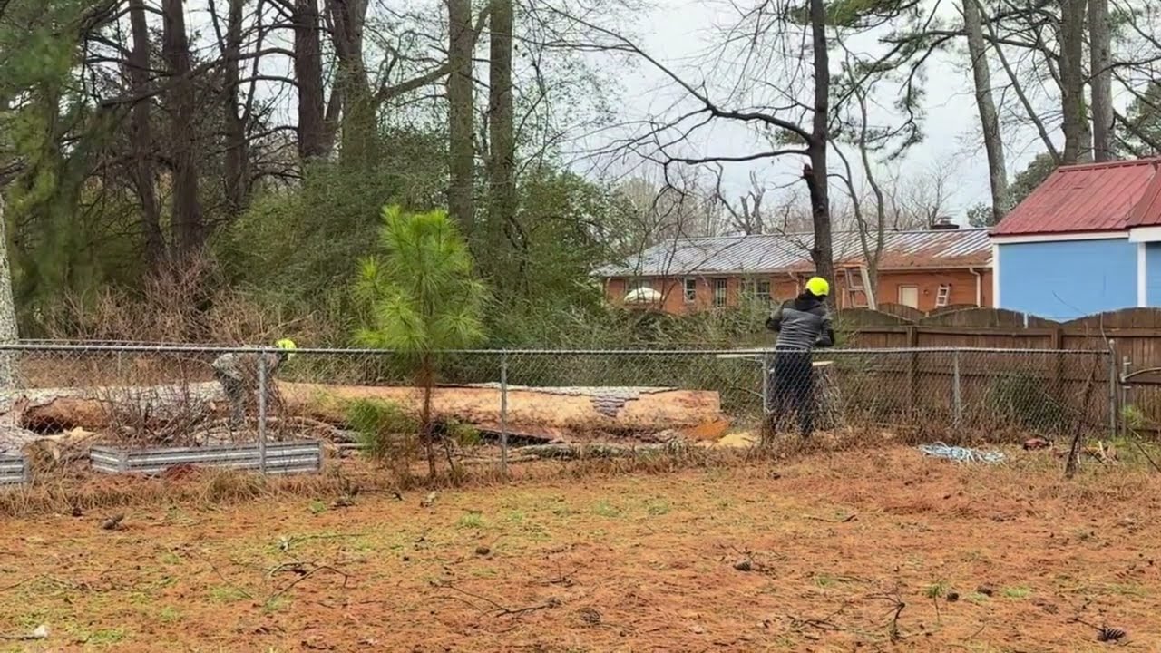 Wishing you the best in 2024 | RC Tree Services LLC starts off the year with a  bang!